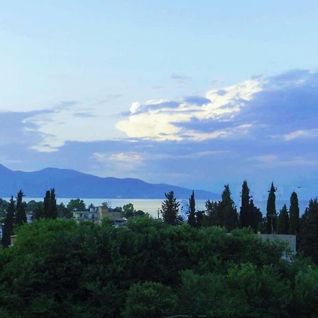 Sunshine Home 2 With Sea View Corfu  외부 사진